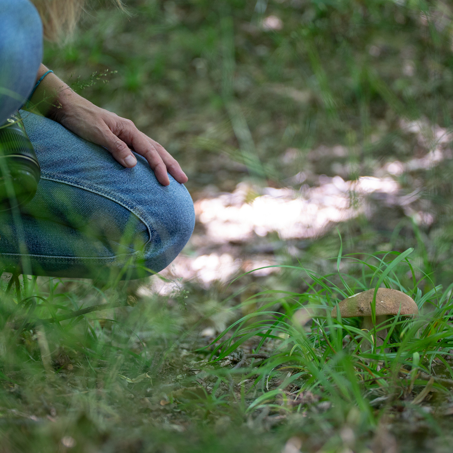Magazyn Biogo - Szukanie grzybów to czytanie ze znaków natury - zmieniajzbiogo.pl